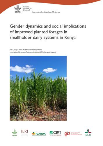 Gender dynamics and social implications of improved planted forages in smallholder dairy systems in Kenya