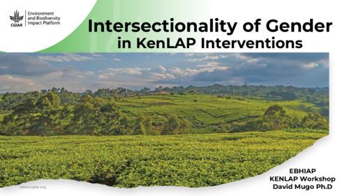 Intersectionality of Gender in KenLAP Interventions