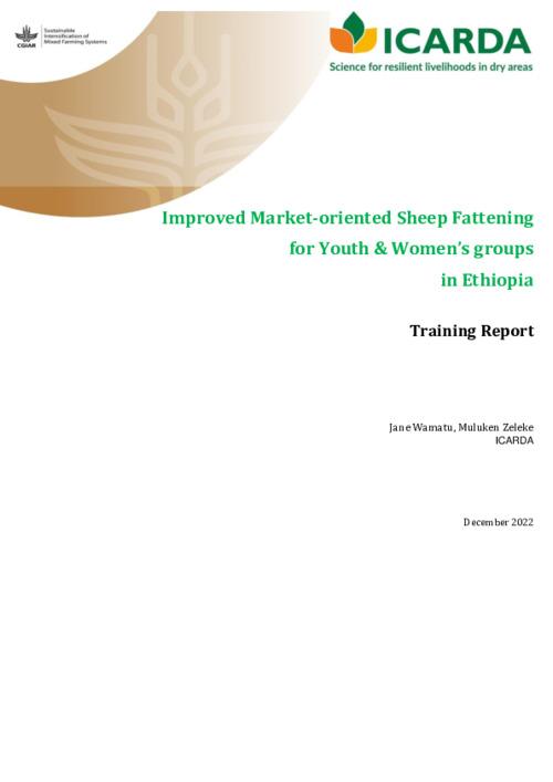 Improved Husbandry and Management in Sheep Fattening for Youth and Women Sheep Fattening Groups