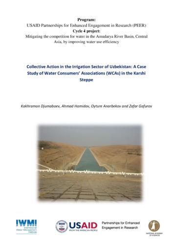 Collective action in the irrigation sector of Uzbekistan: a case study of water consumers associations (WCAs) in the Karshi Steppe