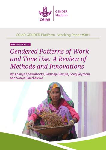 Gendered patterns of work and time use: A review of methods and innovations