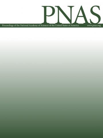 The persistent threat of emerging plant disease pandemics to global food security