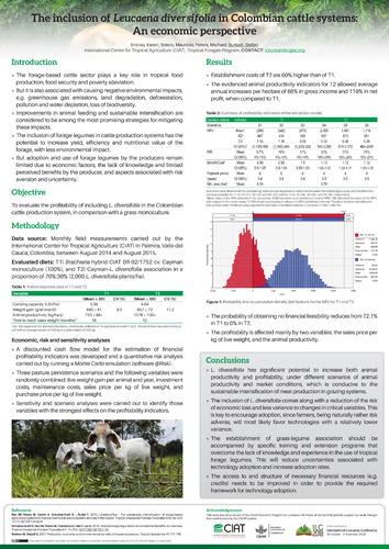 The inclusion of Leucaena diversifolia in Colombian cattle systems: An economic perspective