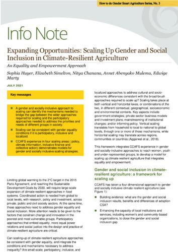 Expanding Opportunities: Scaling Up Gender and Social Inclusion in Climate-Resilient Agriculture : An Equality and Empowerment Approach