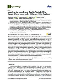 Mapping agronomic and quality traits in elite durum wheat lines under differing water regimes