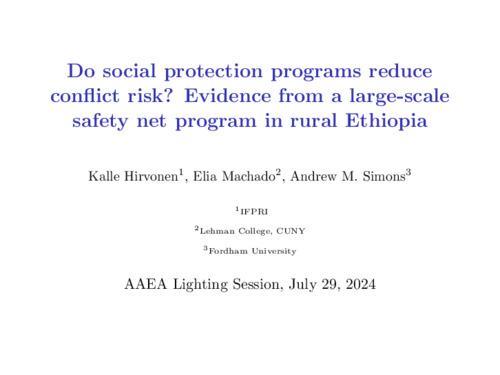 Do social protection programs reduce conflict risk? Evidence from a large-scale safety net program in rural Ethiopia