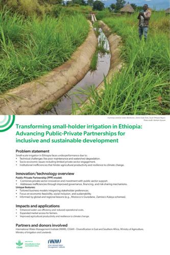 Transforming small-holder irrigation in Ethiopia: Advancing Public-Private Partnerships for inclusive and sustainable development