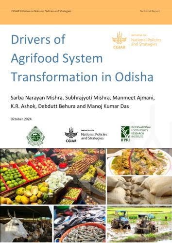 Drivers of agrifood system transformation in Odisha