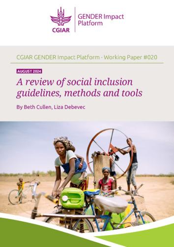 A review of social inclusion guidelines, methods and tools