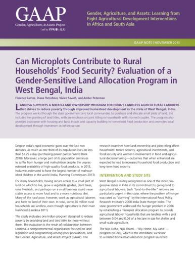 Can microplots contribute to rural households’ food security? Evaluation of a gender-sensitive land allocation program in West Bengal, India