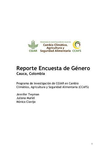 Reporte Encuesta de Género Cauca, Colombia