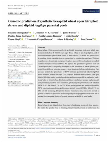 Genomic prediction of synthetic hexaploid wheat upon tetraploid durum and diploid Aegilops parental pools