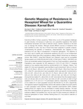 Genetic mapping of resistance in hexaploid wheat for a quarantine disease: karnal bunt