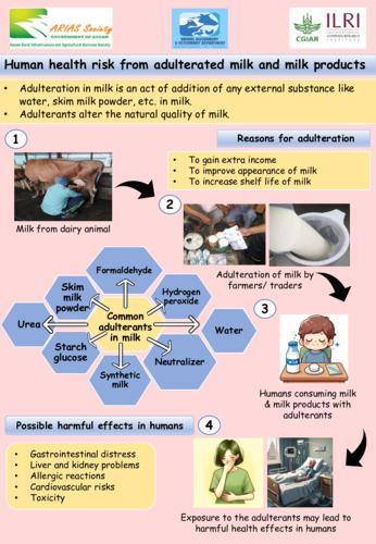 Human health risk from adulterated milk and milk products