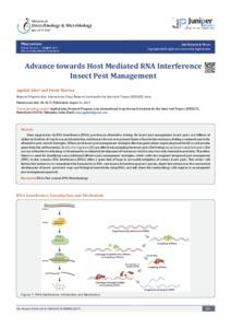 Advance towards Host Mediated RNA Interference Insect Pest Management