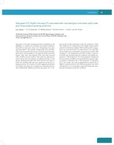 Stay-green QTL Stg3B is the key QTL associated with improved grain and stover yield under post-rainy sorghum growing conditions