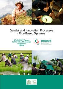 Gender and innovation processes in rice-based systems