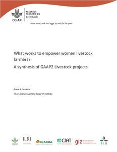 What works to empower women livestock farmers? A synthesis of GAAP2 Livestock projects
