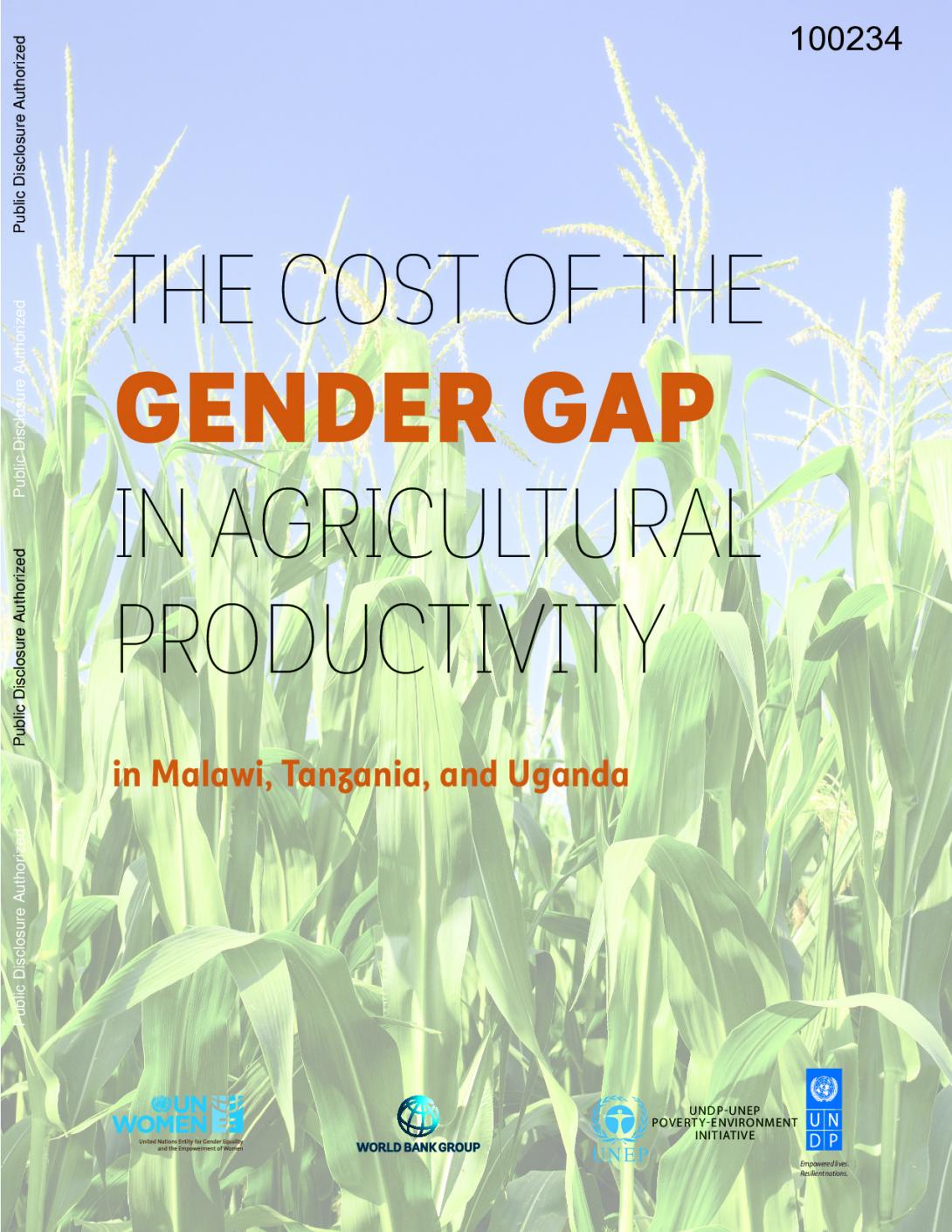 The cost of the gender gap in agricultural productivity in Malawi, Tanzania, and Uganda