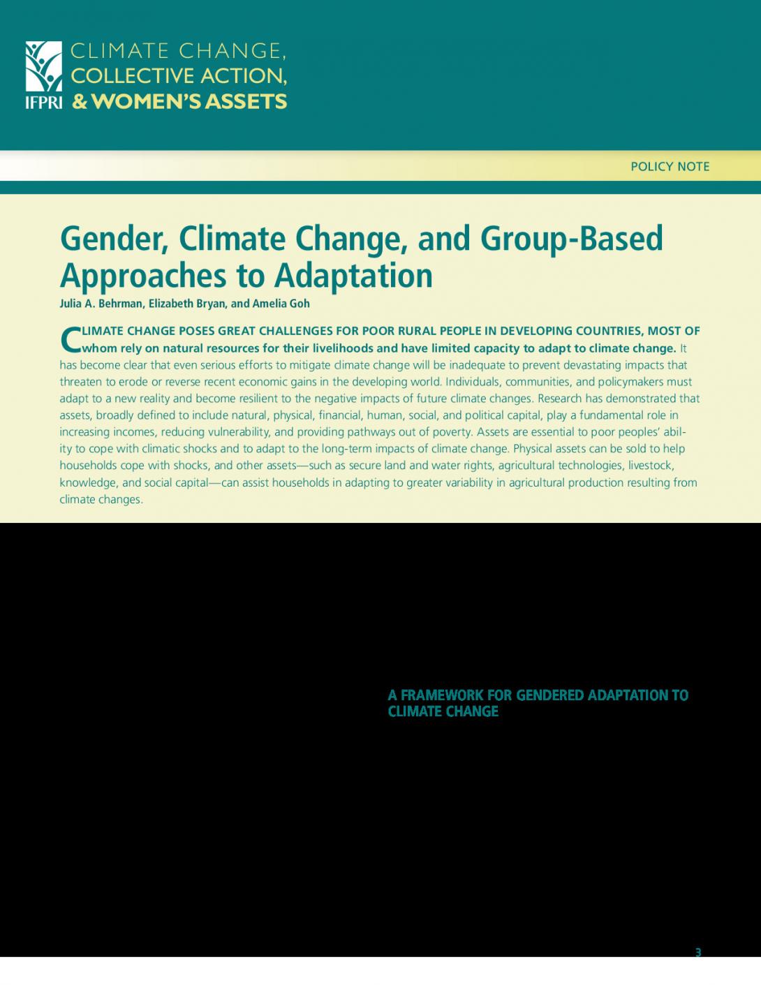 Gender, Climate Change, and Group-Based Approaches to Adaptation