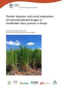 Gender dynamics and social implications of improved planted forages in smallholder dairy systems in Kenya