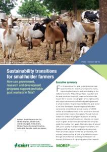 Sustainability transitions for smallholder farmers: How can government, research and development programs support profitable goat markets in Tete?