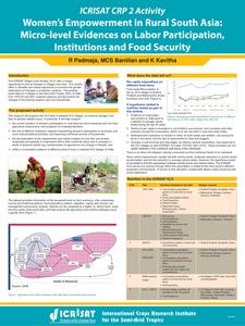ICRISAT CRP 2 Activity Women’s Empowerment in Rural South Asia: Micro-level Evidences on Labor Participation, Institutions and Food Security
