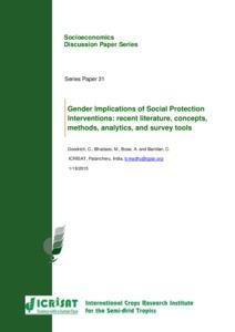 Gender Implications of Social Protection Interventions: recent literature, concepts, methods, analytics, and survey tools, Socioeconomics Discussion Paper Series 31