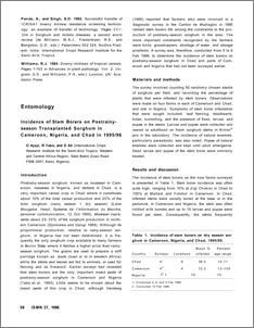 Incidence of Stem Borers on Postrainy-season Transplanted Sorghum in Cameroon, Nigeria, and Chad in 1995/96