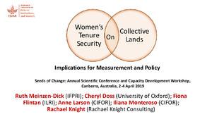 Women's tenure security on collective lands: Implications for measurement and policy