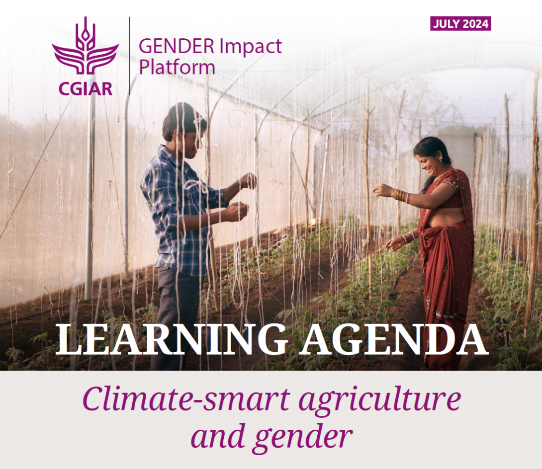 Learning agenda on climate-smart agriculture and gender