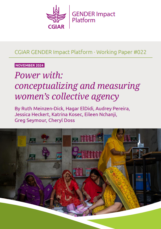 Power with: conceptualizing and measuring women’s collective agency