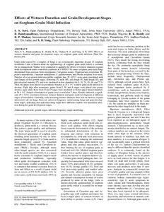 Effects of Wetness Duration and Grain Development Stages on Sorghum Grain Mold Infection