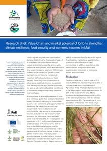Research Brief: Value chain and market potential of fonio to strengthen climate resilience, food security and women’s incomes in Mali
