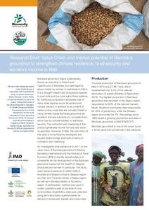 Research Brief: Value chain and market potential of Bambara groundnut to strengthen climate resilience, food security and women’s income in Mali