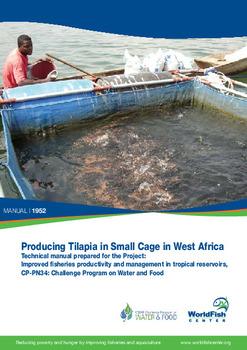 Producing tilapia in small cage in West Africa