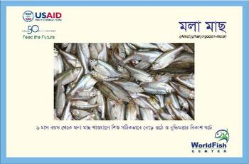 Recipe card: Amblypharyngodon mola (in Bengali)