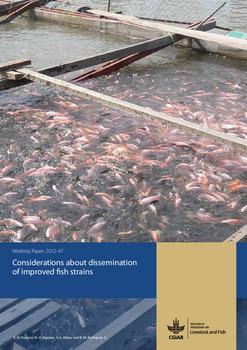 Considerations about effective dissemination of improved fish strains