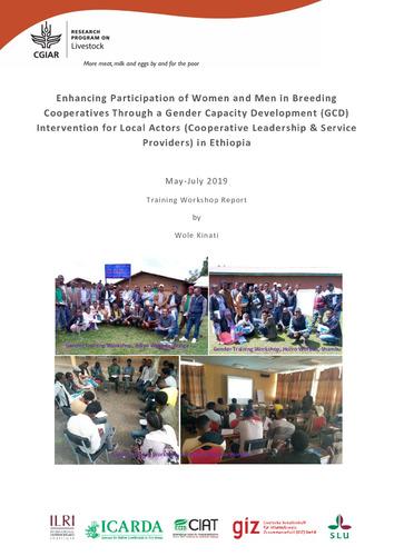 Enhancing participation of women and men in breeding cooperatives through a Gender Capacity Development (GCD) intervention for local actors (Cooperative Leadership and Service Providers) in Ethiopia: Training Workshop Report, May-July 2019