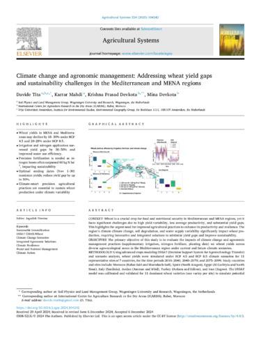 Climate change and agronomic management: Addressing wheat yield gaps and sustainability challenges in the Mediterranean and MENA regions