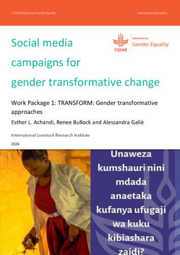 Social media campaigns for gender transformative change