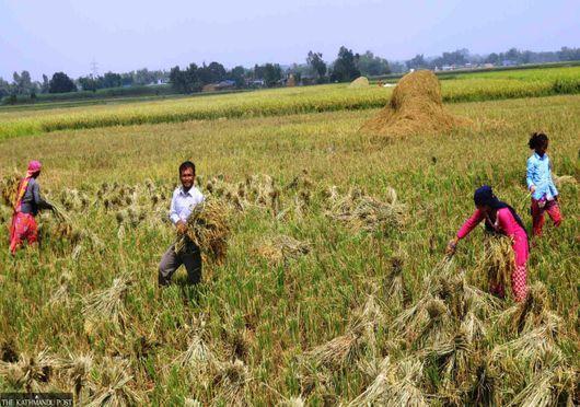 Breaking barriers in agriculture: implementing and scaling innovations in mixed farming systems is possible only with inclusive policies