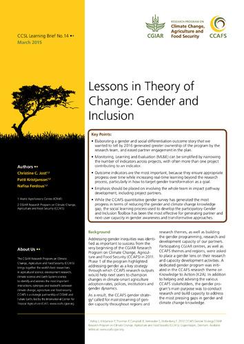 Lessons in Theory of Change: Gender and Inclusion