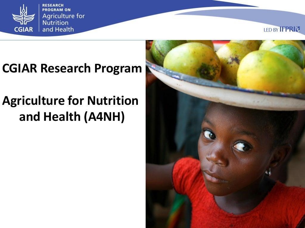 A4NH – Presentation for Discussion with Donors and Partners – June 2013