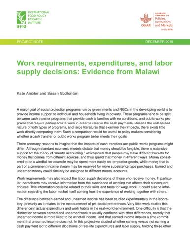 Work requirements, expenditures, and labor supply decisions: Evidence from Malawi