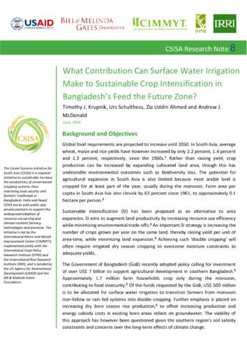 What contribution can surface water irrigation make to sustainable crop intensification in Bangladesh’s feed the future zone?