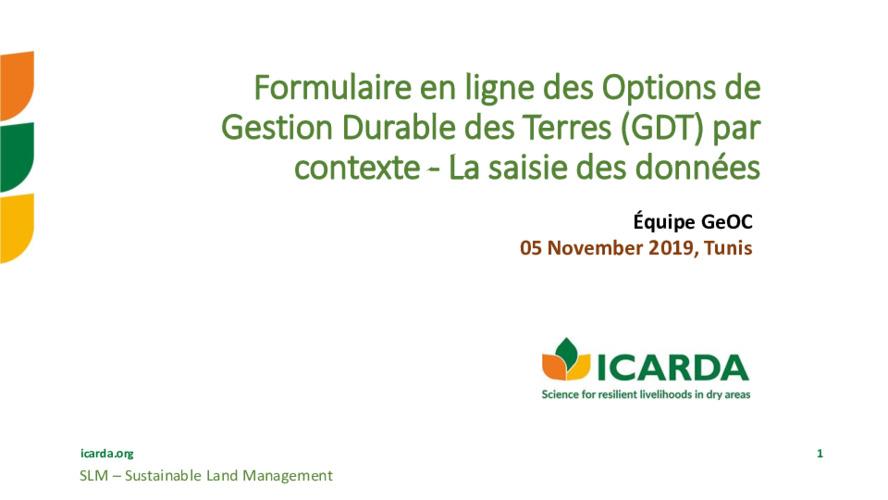 Formulaire en ligne des Options de GDT par contexte - La saisie des données