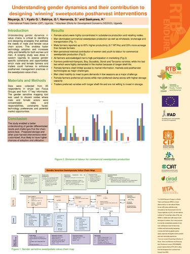 Understanding gender dynamics and their contribution to designing ‘winning’ sweetpotato postharvest interventions.