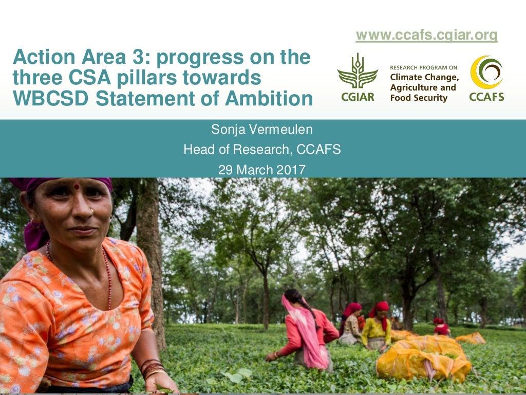 Action Area 3: Progress on the three Climate-Smart Agriculture pillars towards WBCSD Statement of Ambition