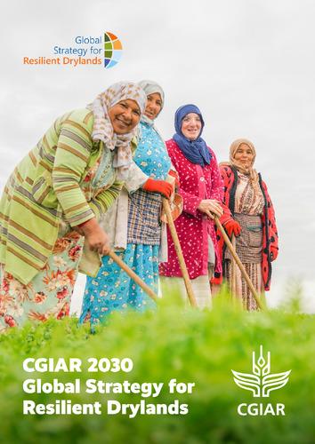 CGIAR 2030 Global Strategy for Resilient Drylands